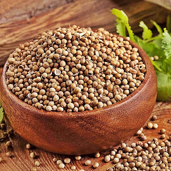 Foto - Kandaki zehri temizliyor! Kişniş kürünün muhteşem etkisi