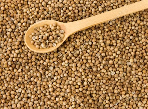 Foto - Kandaki zehri temizliyor! Kişniş kürünün muhteşem etkisi