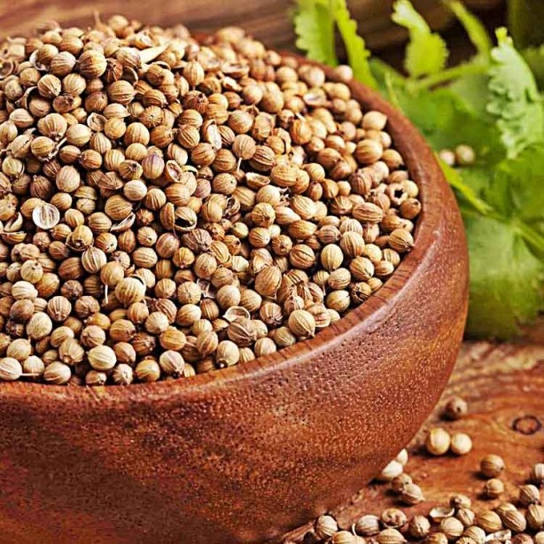 Foto - Kandaki zehri temizliyor! Kişniş kürünün muhteşem etkisi