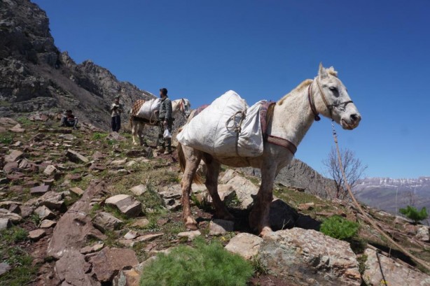 Foto - Kandil bu yüzden CHP’yi istiyor! PKK’lıların cirit attığı yere bir de şimdi bakın