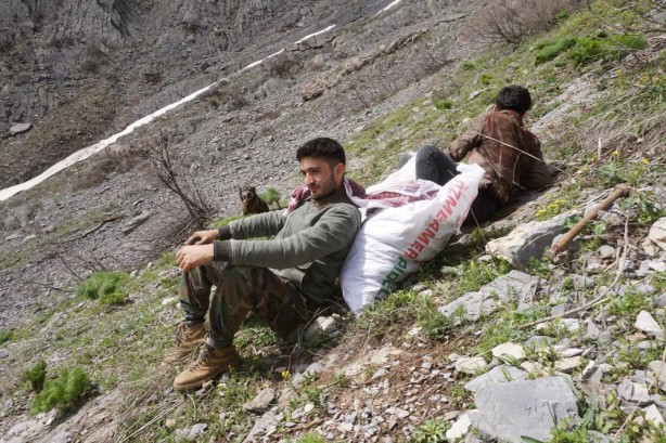 Foto - Kandil bu yüzden CHP’yi istiyor! PKK’lıların cirit attığı yere bir de şimdi bakın