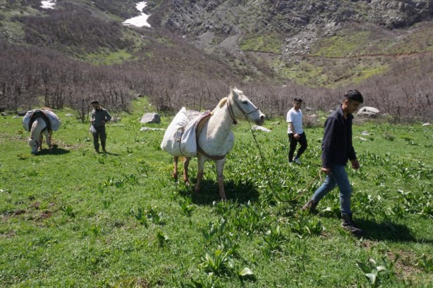 Foto - Kandil bu yüzden CHP’yi istiyor! PKK’lıların cirit attığı yere bir de şimdi bakın
