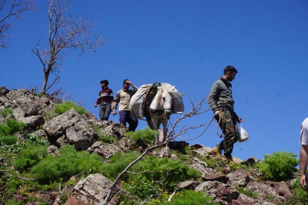 Foto - Kandil bu yüzden CHP’yi istiyor! PKK’lıların cirit attığı yere bir de şimdi bakın