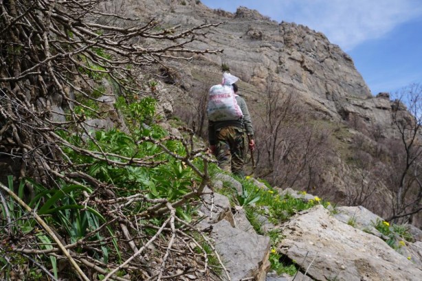 Kandil bu yüzden CHP’yi istiyor! PKK’lıların cirit attığı yere bir de şimdi bakın