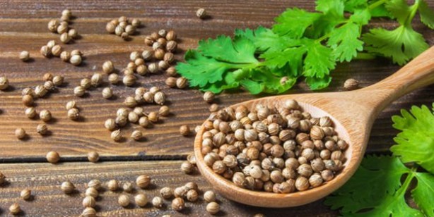 Foto - Kanı temizleyen 6 besin: Kendinizi daha iyi hissedeceksiniz! Zehri yenen, damar temizleme etkisi büyük antibiyotik 