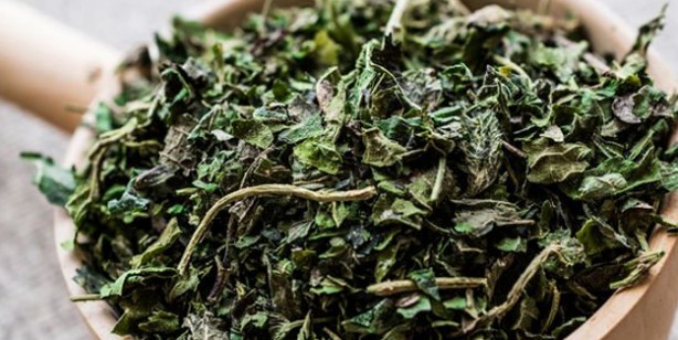 Foto - Kanı temizleyen 6 besin: Kendinizi daha iyi hissedeceksiniz! Zehri yenen, damar temizleme etkisi büyük antibiyotik 