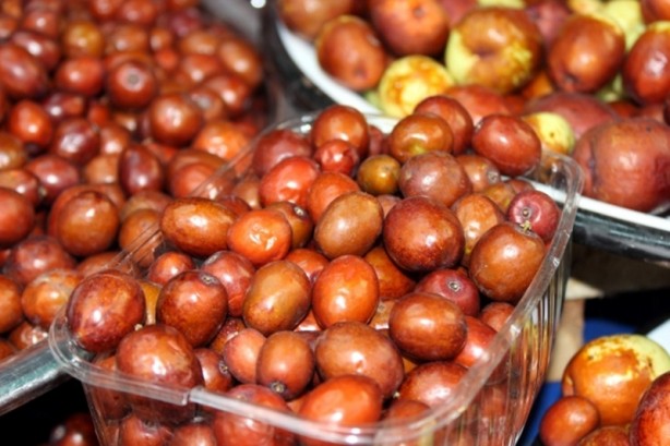 Kanı temizleyen Hünnap meyvesinin faydaları nelerdir?