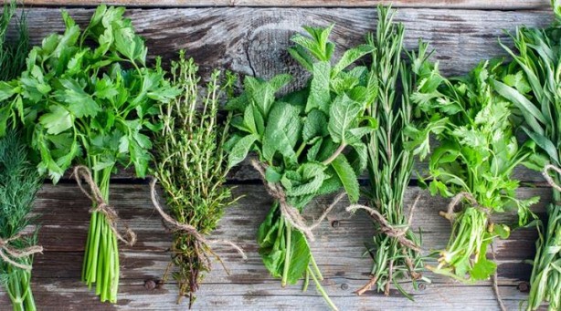 Foto - Kanser düşmanı besinlerden haberdar mısınız?