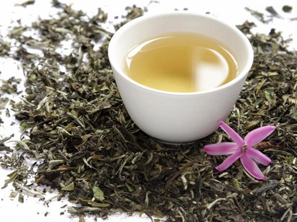 Foto - Kanser düşmanı 'beyaz çay'
