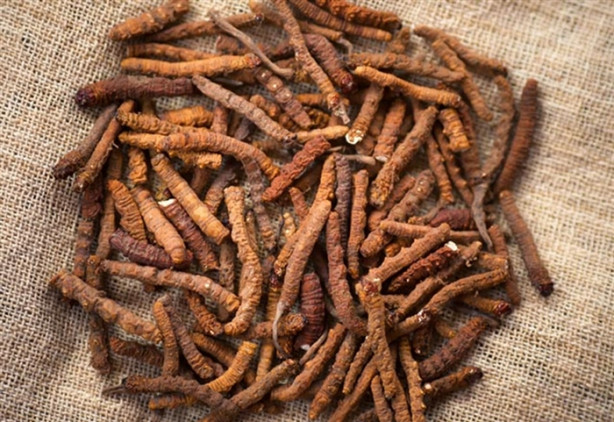 Foto - Kanser hastaları her gün bunu tüketmeli!