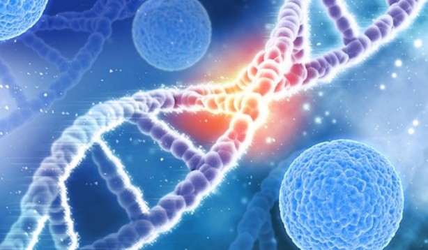 Foto - Kanser hastalarını kemoterapiden kurtaracak tedavi yöntemi bulundu! Çok daha az yan etkisi var