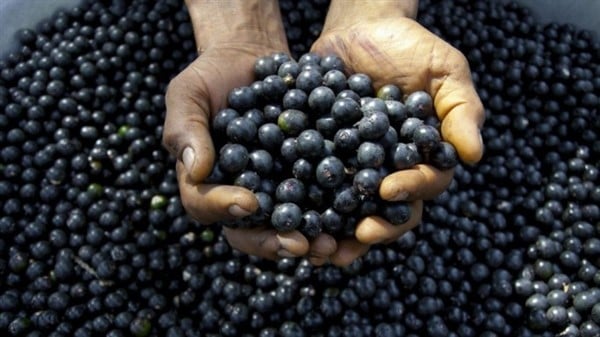 Foto - Kanser hücrelerini yok etmede en zaferli gıda: Bu besin ile daha güçlü! Görenler şifaya çok şaşıracak