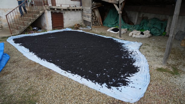 Foto - Kanser karşıtı süper meyveye, süper fiyat! 