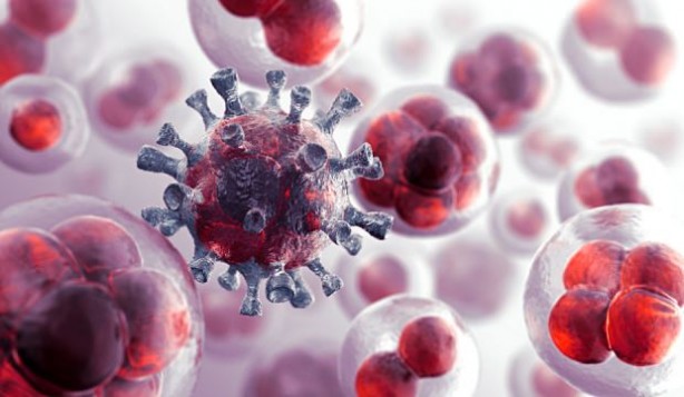 Foto - Kanser riskini azaltan sebzeler