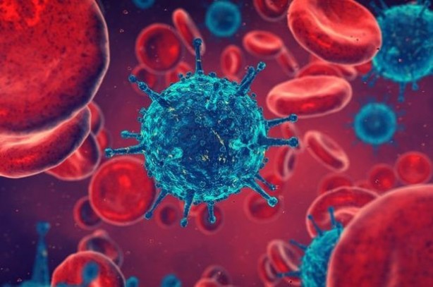 Foto - Kanser riskini azaltan sebzeler