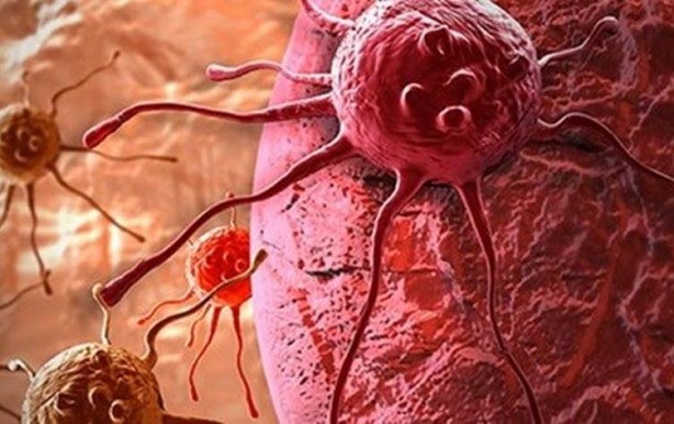 Foto - Kanser riskini azaltan sebzeler