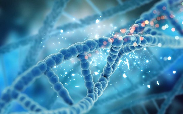 Foto - Kanser riskini azaltan sebzeler