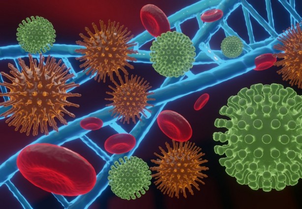 Foto - Kanser riskini azaltan sebzeler