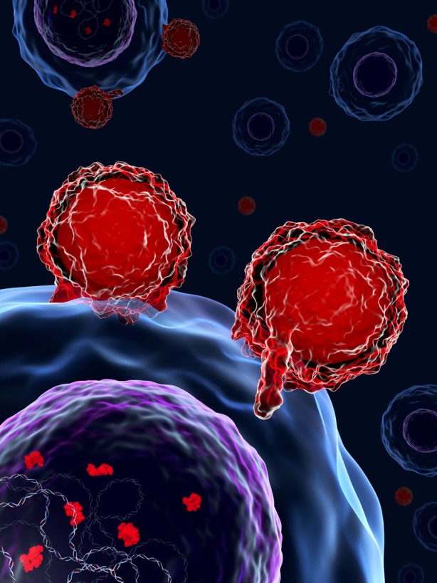 Foto - Kanser riskini azaltan sebzeler