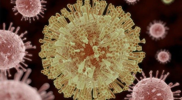 Foto - Kanser riskini azaltan sebzeler