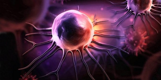 Foto - Kanser riskini azaltan sebzeler