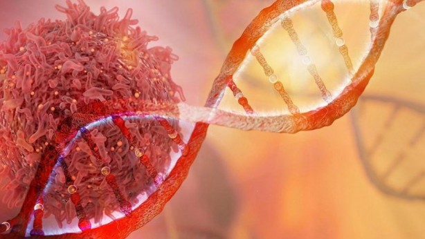 Foto - Kanser riskini azaltan sebzeler