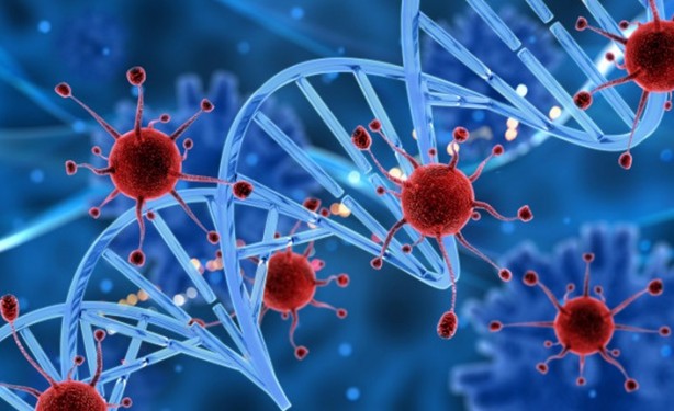 Foto - Kanser riskini azaltan sebzeler