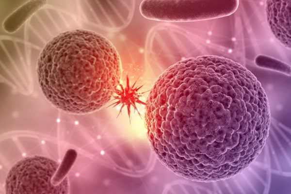 Foto - Kanser riskini azaltan sebzeler