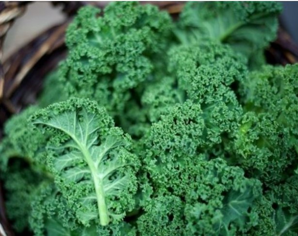 Foto - Kanser riskini düşüren yiyecekler