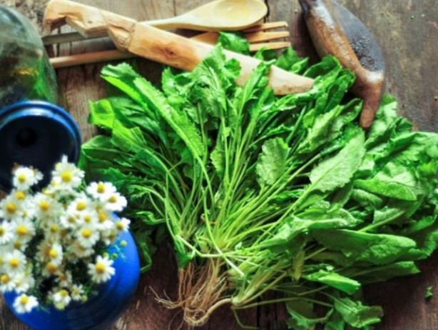 Foto - Kanser riskini düşüren yiyecekler