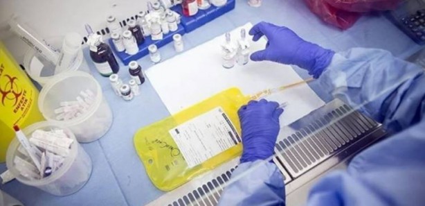 Foto - Kanser tedavisi için umut veren sonuçlar