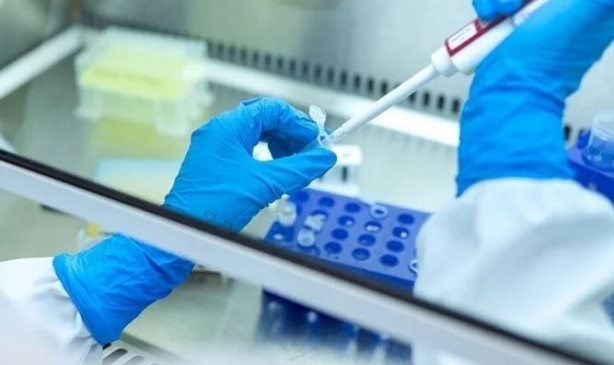 Foto - Kanser tedavisi için umut veren sonuçlar