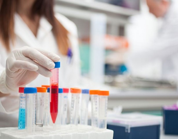 Foto - Kanser tedavisi için umut veren sonuçlar