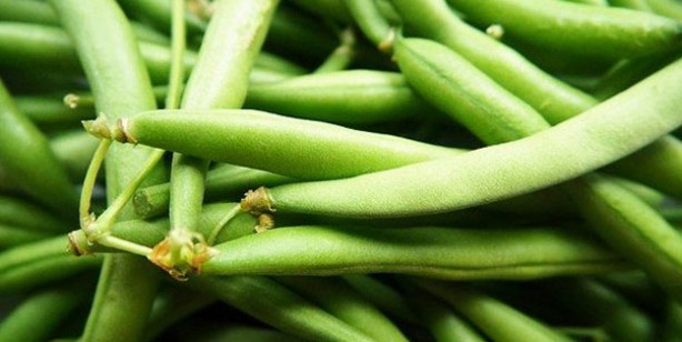 Foto - Kanser ve beslenme | Kanser hücrelerinin yayılmasını engelliyor! İşte şifa deposu 7 besin...