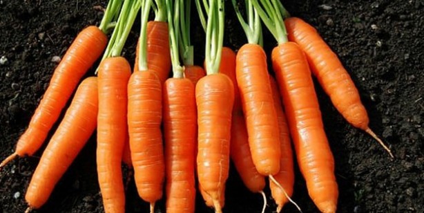 Foto - Kanser ve beslenme | Kanser hücrelerinin yayılmasını engelliyor! İşte şifa deposu 7 besin...