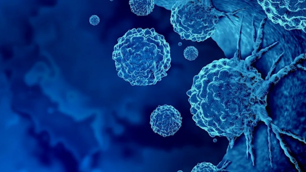 Foto - Kanserden korudukları keşfedildi! Bu 10 besini sakın mutfağınızdan eksik etmeyin