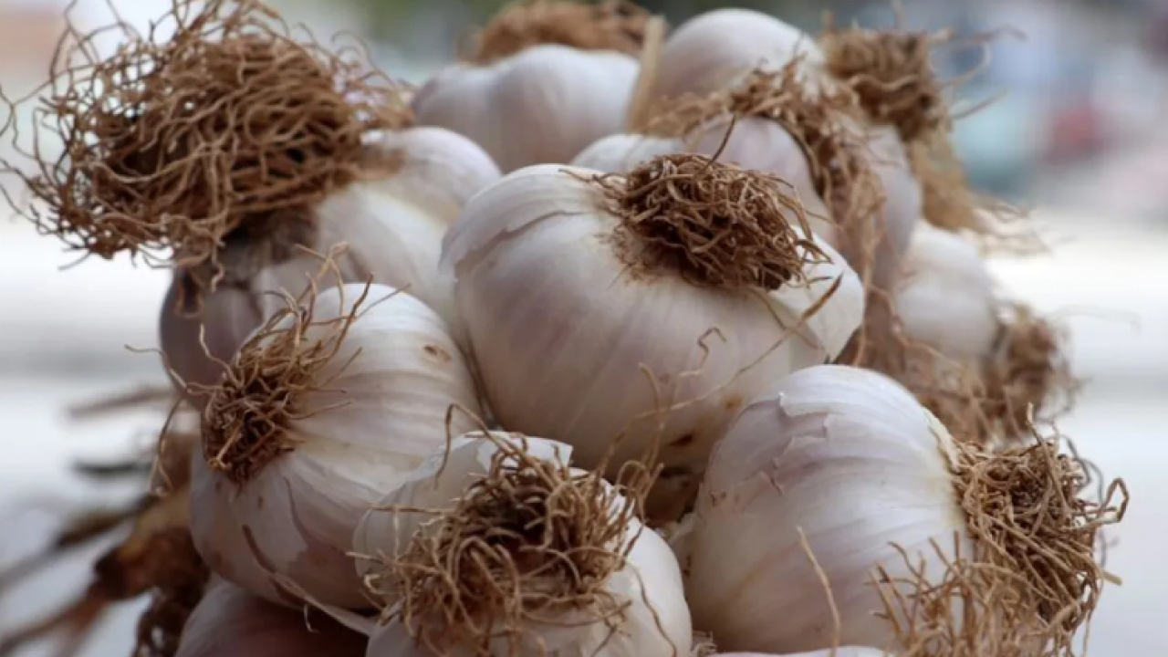 Foto - Kanserden korudukları keşfedildi! Bu 10 besini sakın mutfağınızdan eksik etmeyin