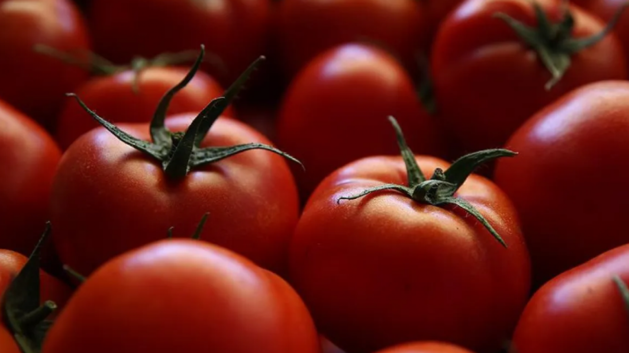Foto - Kanserden korudukları keşfedildi! Bu 10 besini sakın mutfağınızdan eksik etmeyin