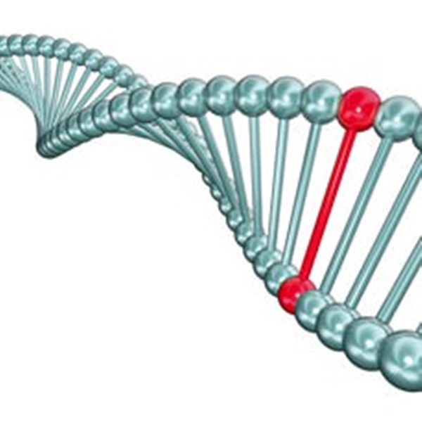 Foto - Kanserden korunmak için...