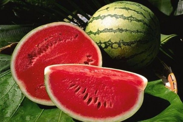 Foto - Kanserden korunmanın yolları