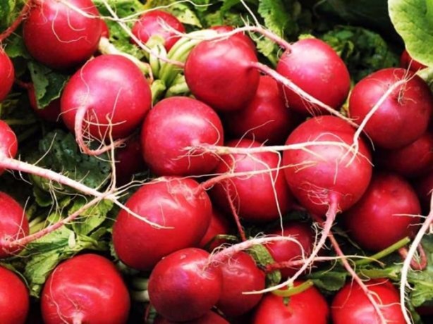 Foto - Kanserden korunmanın yolları