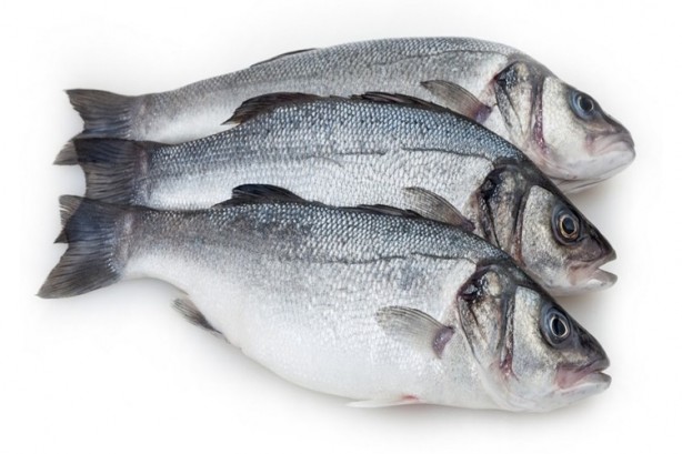 Foto - Kansere bile iyi geliyor! İşte muhteşem balık