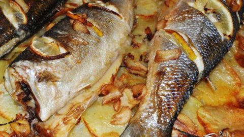 Foto - Kansere bile iyi geliyor! İşte muhteşem balık