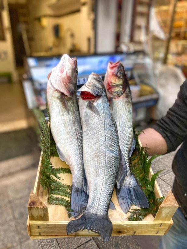 Foto - Kansere bile iyi geliyor! İşte muhteşem balık