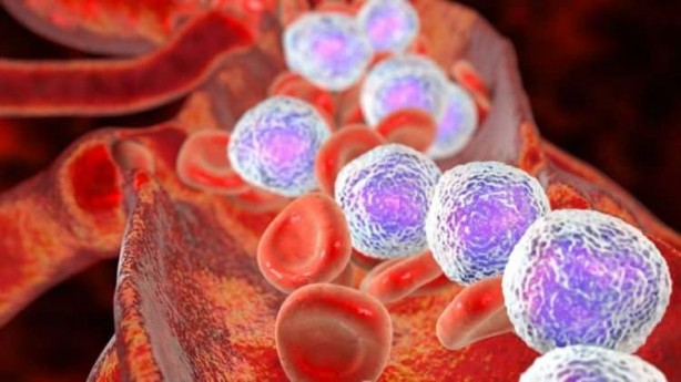 Foto - Kansere çare mi bulundu! Resmen ‘Uçuk’ devrimi yaşandı