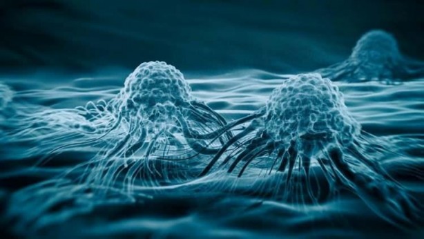 Kansere çare mi bulundu! Resmen ‘Uçuk’ devrimi yaşandı