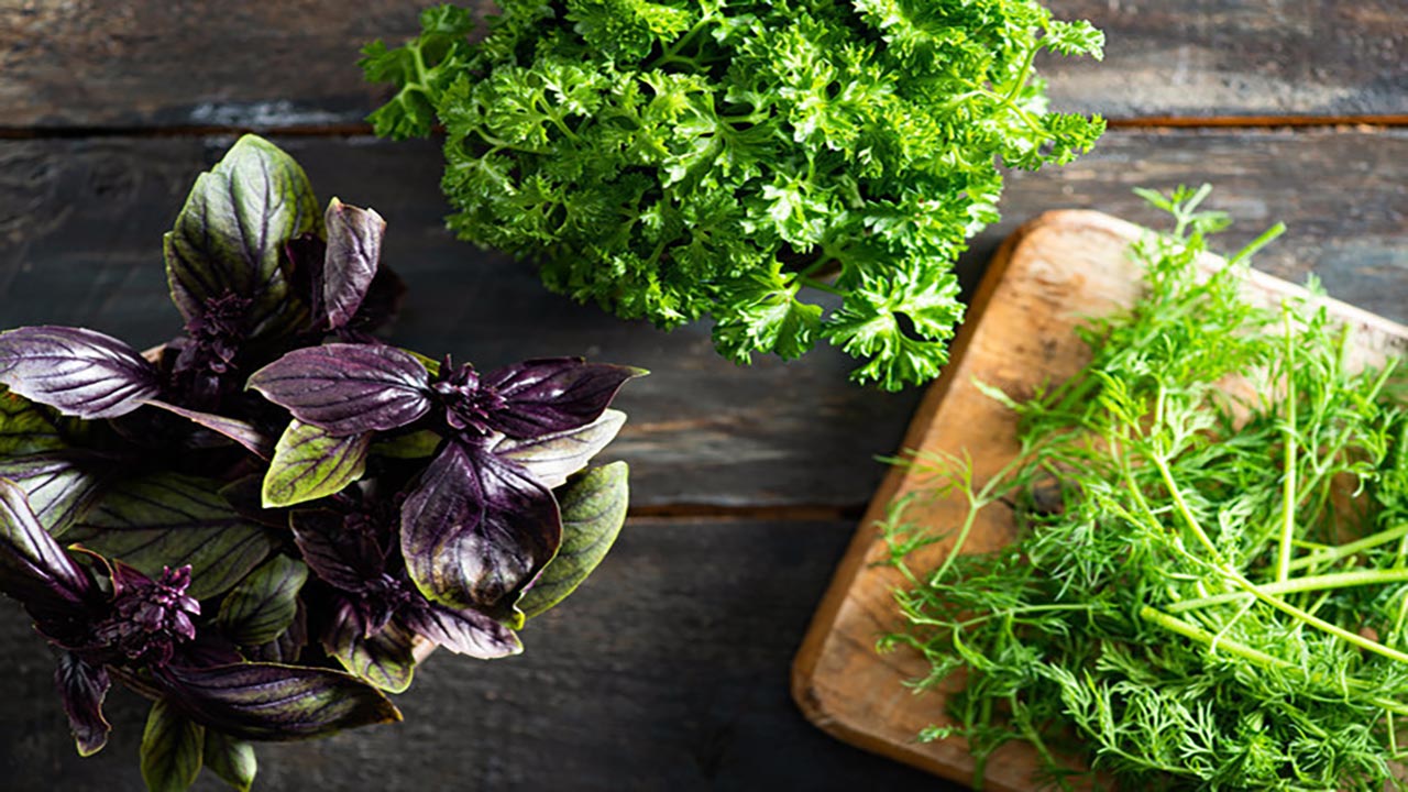 Foto - Kansere karşı kalkan oluyor! Kan basıncınızı anında düşürüyor