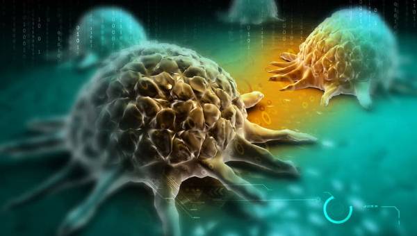 Foto - Kansere karşı koruyan en iyi 25 besin