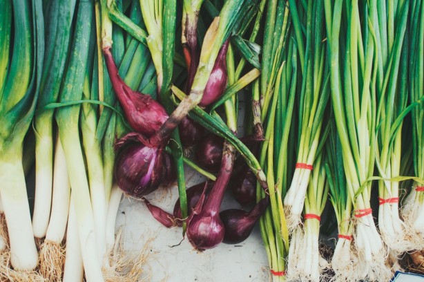 Foto - Kansere karşı koruyan en iyi 25 besin