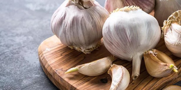 Foto - Kansere karşı koruyan en iyi 5 besin